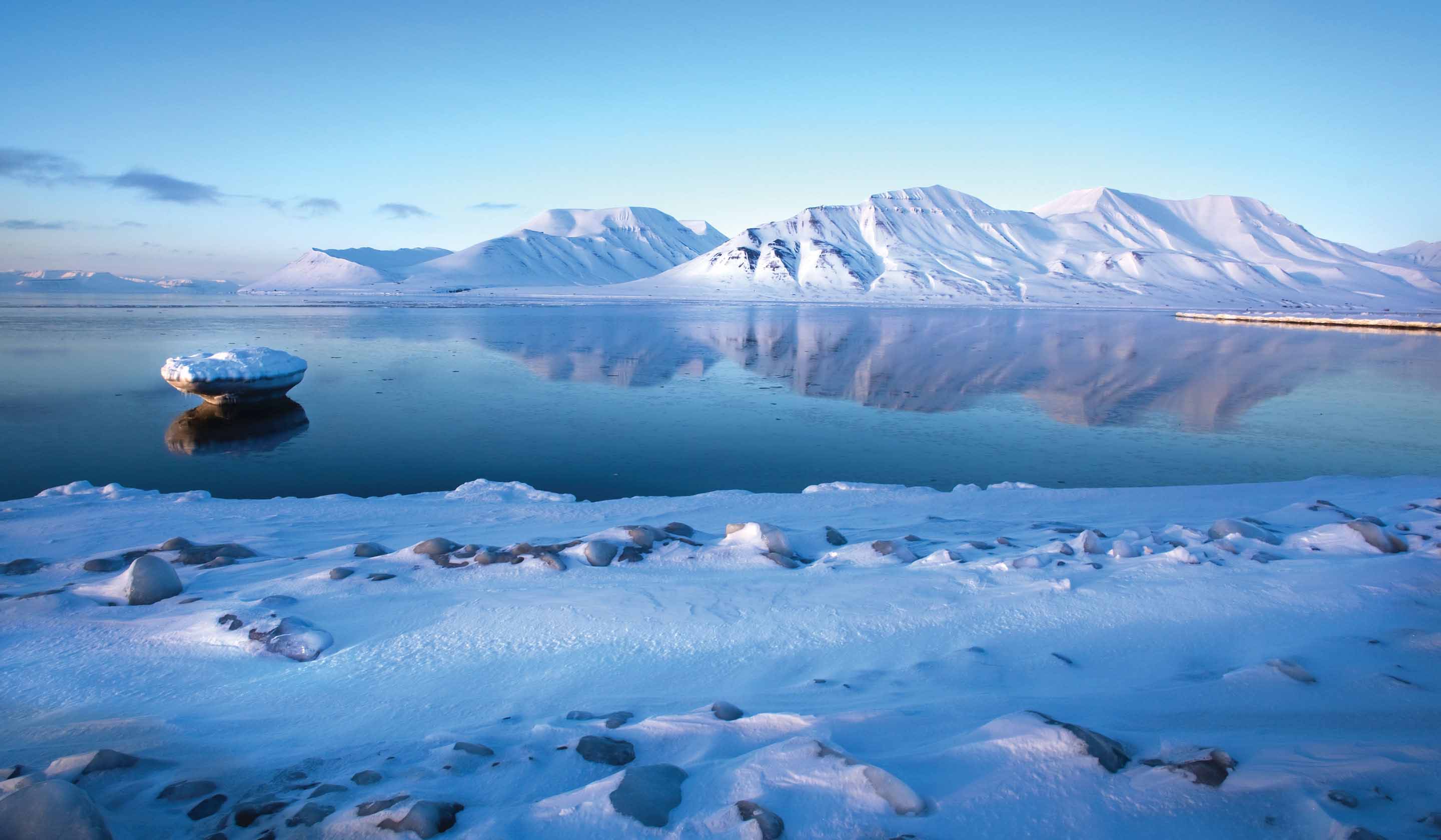 Arctic and Antarctica