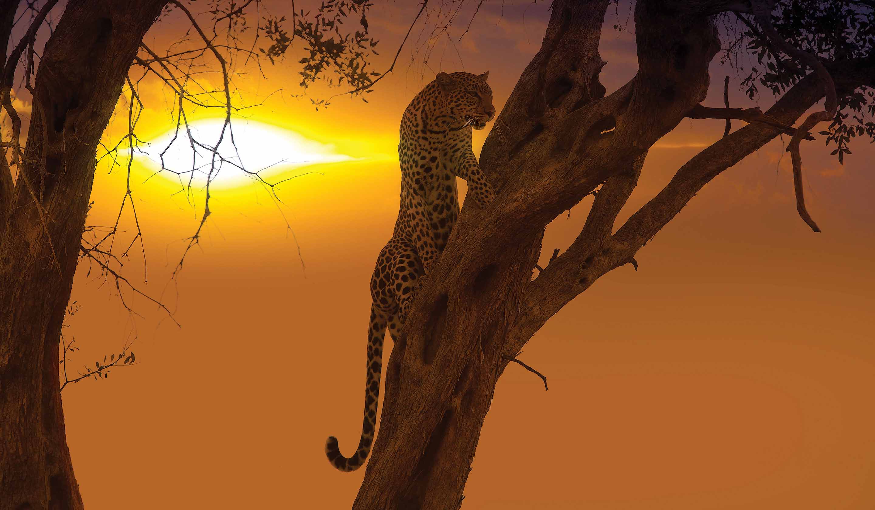 Eastern Africa