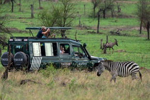 Serengeti National Park, Tanzania