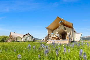 Under Canvas