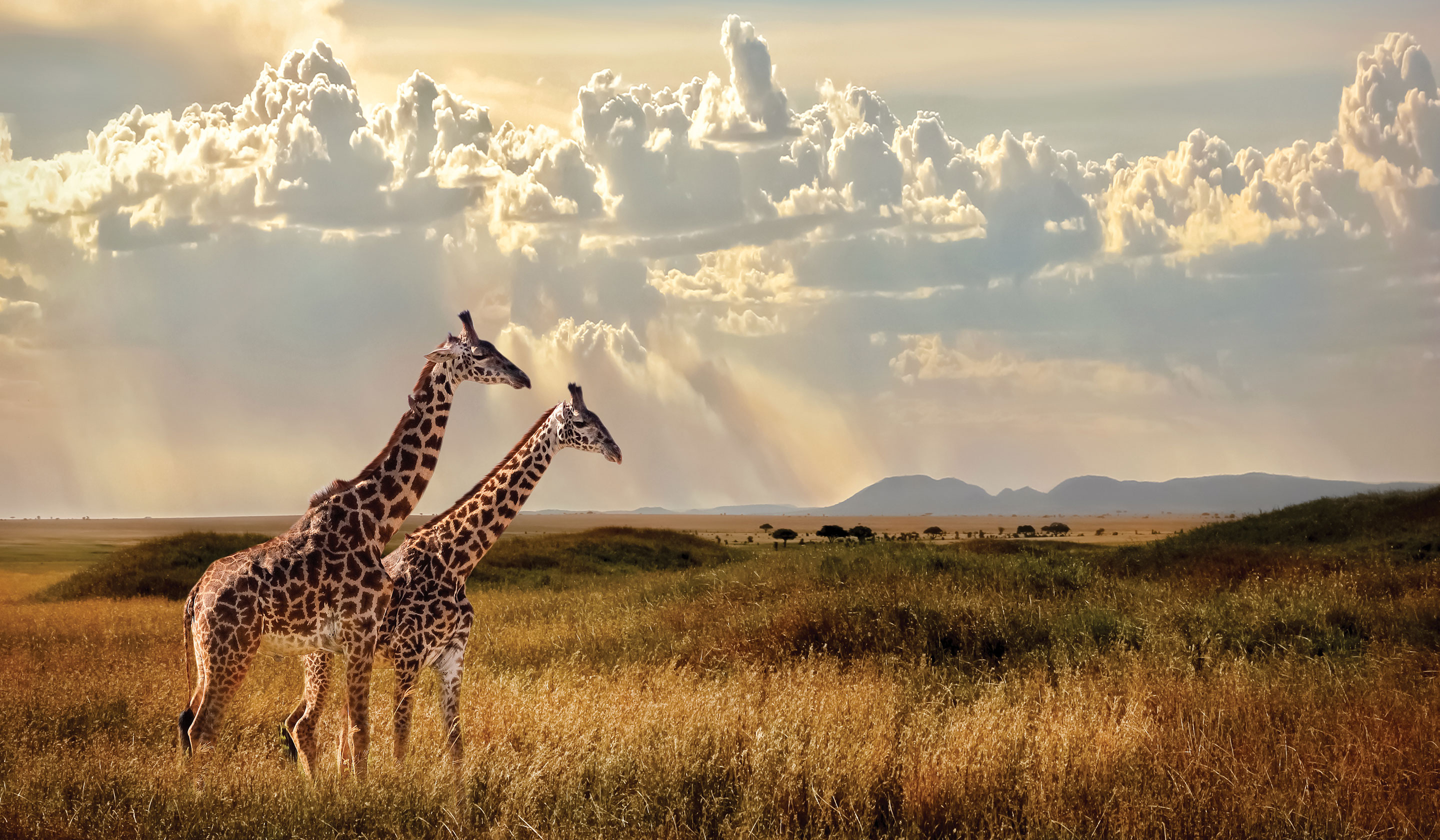 Tanzania: Serengeti to Zanzibar