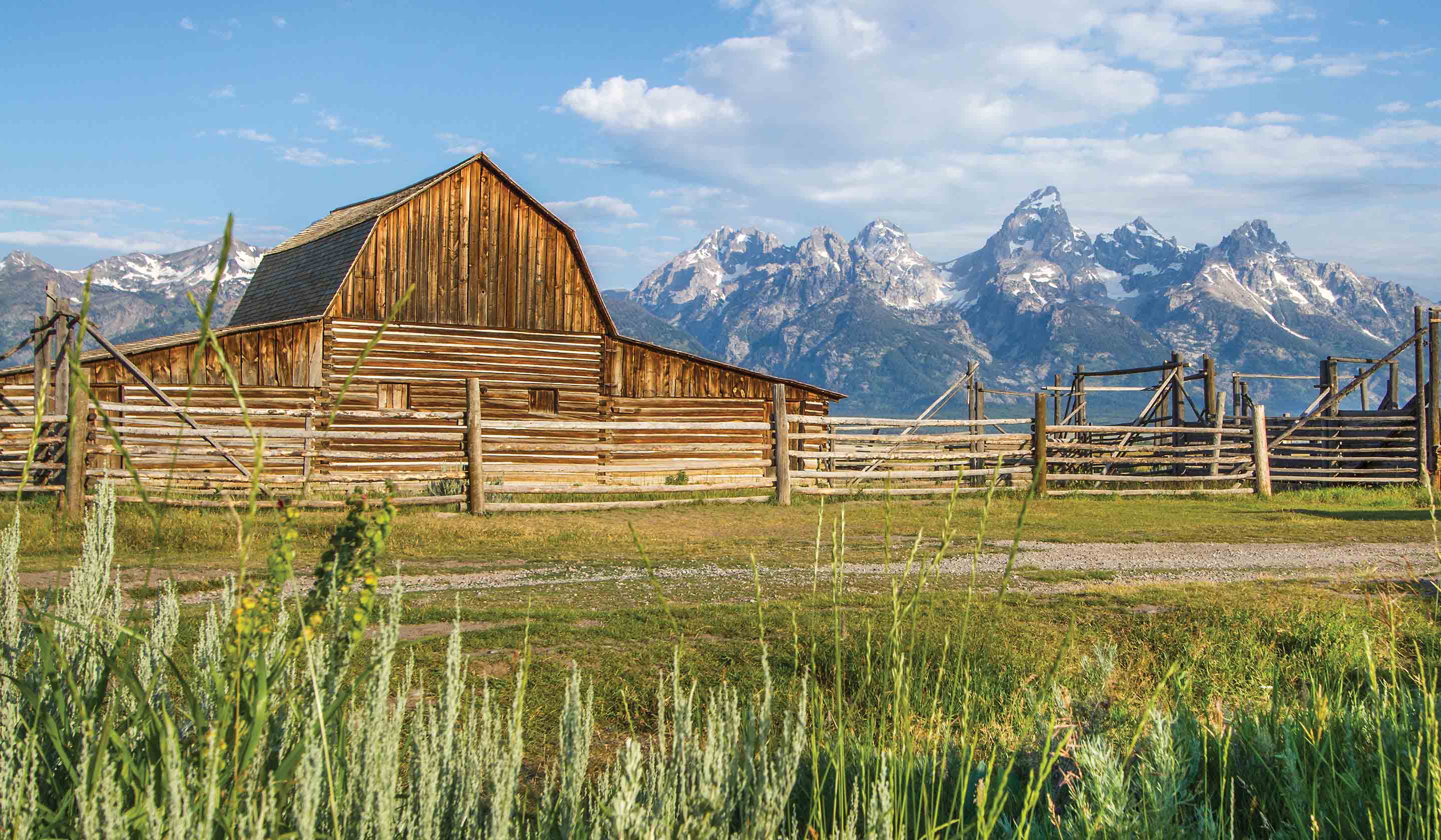 Yellowstone & the Tetons: American
