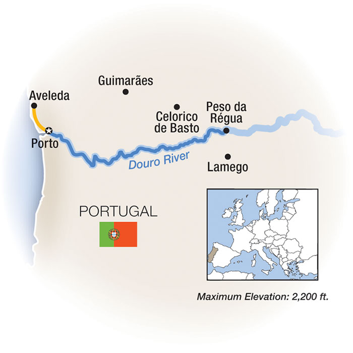 Essence of the Douro